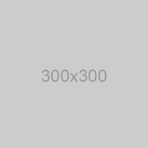 iOS Developer